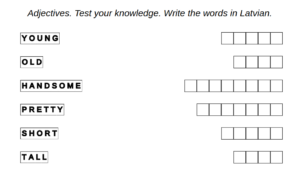 example for Latvian language: adjectives – test