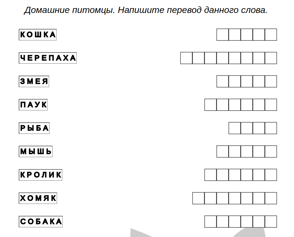 Задания для детей, пример – Английский язык: домашние животные – тест