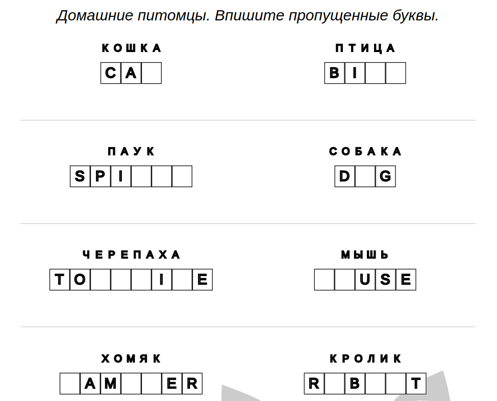 Английский: домашние животные – пропущенные буквы