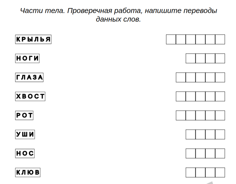 Пример заданий для детей по английскому языку - Английский язык: Части тела – тест, тестовая работа