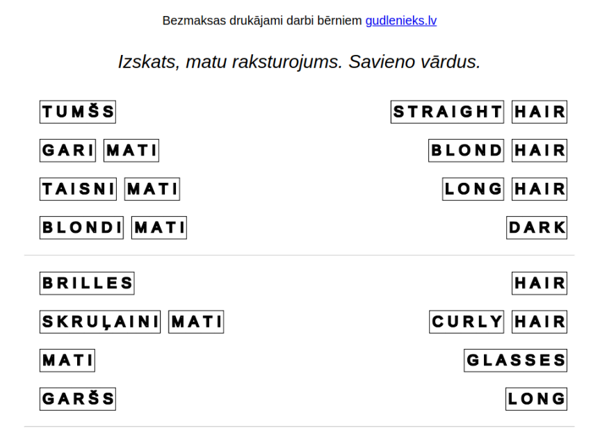 Piemērs uzdevumam - Angļu valoda: Izskats, mati – savieno vārdus